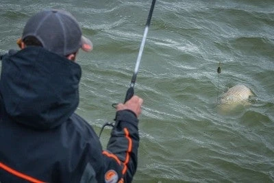 Guru - A-CLASS Rods 4 Guru - A-CLASS Rods - Image 4