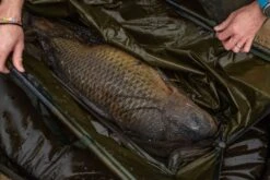 Korda Basix Weigh Sling -Fishing Equipment Store korda basix weigh sling carp barbel landing nets match coarse willy worms 396
