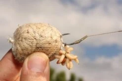 Korda Funnel Web System (7m) -Fishing Equipment Store korda funnel web system 7m bait accessories carp barbel fishmas terminal tackle willy worms 579