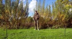 Nash Spot On Stix -Fishing Equipment Store nash spot on stix title carp barbel accessories fishmas terminal tackle willy worms 853