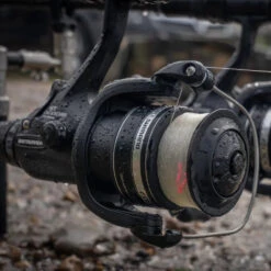 Shimano Baitrunner ST RB Reels 12 Shimano Baitrunner ST RB Reels -Fishing Equipment Store shimano baitrunner st rb reels fishmas match coarse willy worms 103